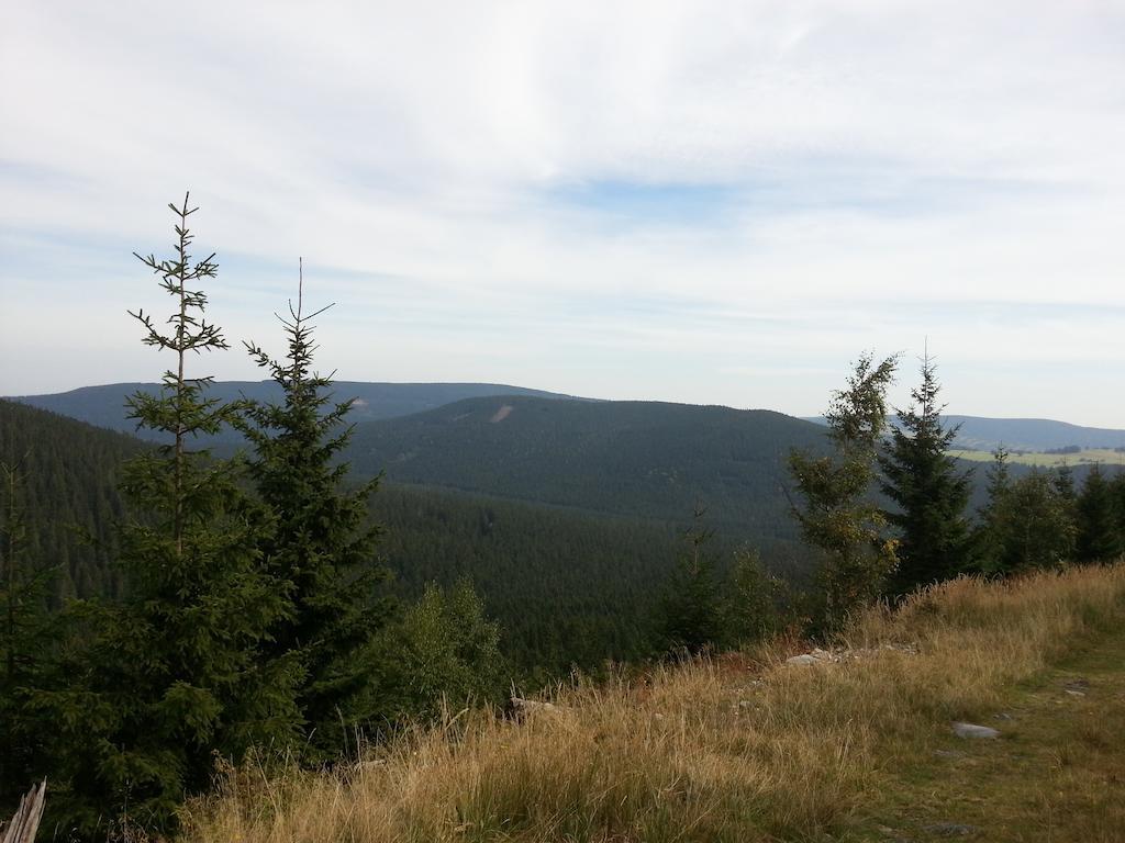 Penzion U Mlyna Рейвіз Екстер'єр фото